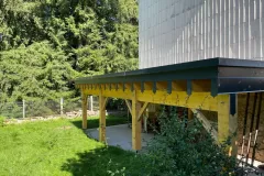 DOCELLE-3